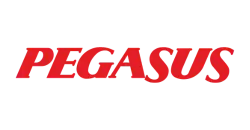 pegasus pegasus